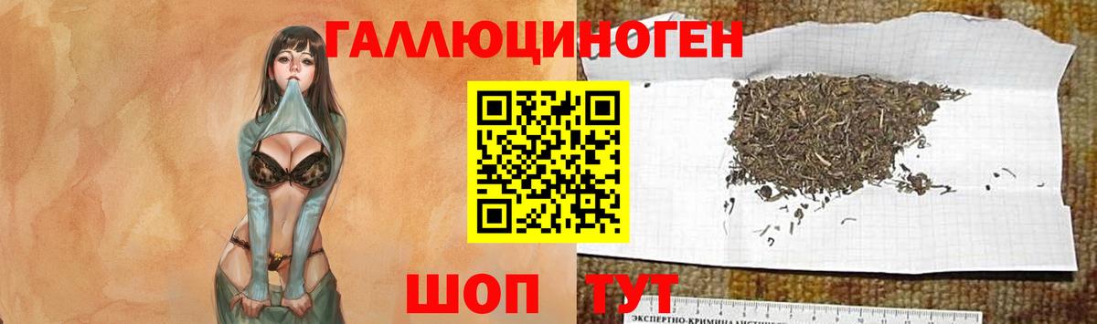 Псилоцибиновые грибы GOLDEN TEACHER Хасавюрт