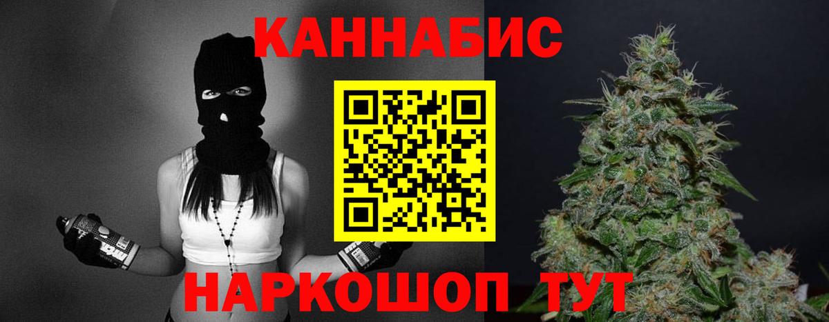 Бошки Шишки конопля Хасавюрт